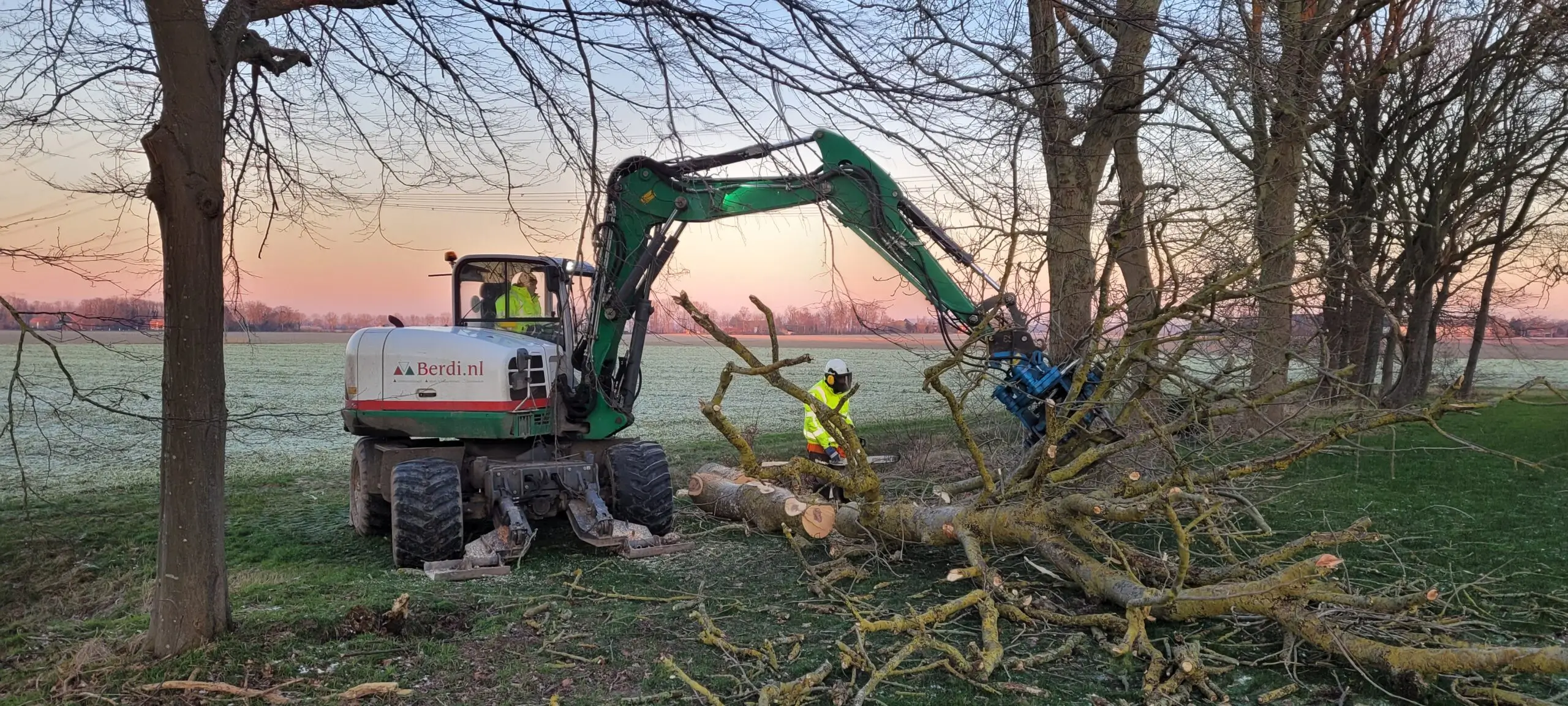 goedkoop openhaardhout